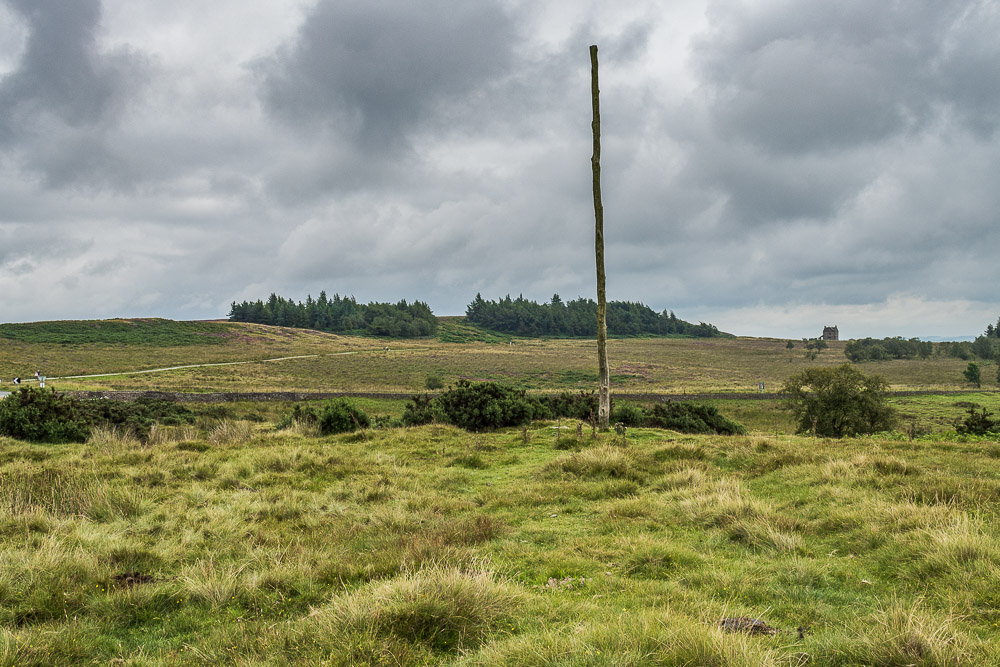 Wooden Pole Wooden Pole
